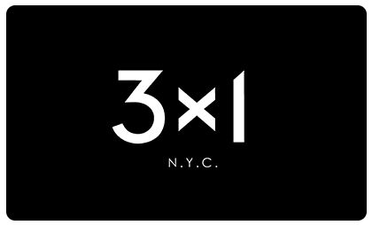 3x1