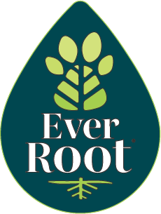 EverRoot