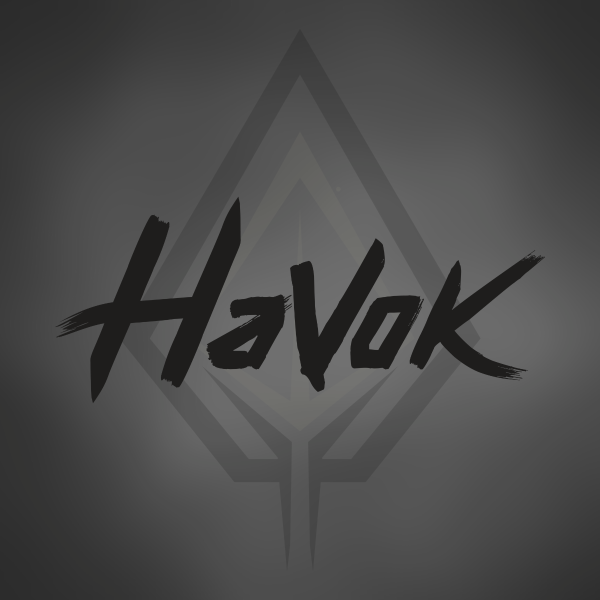 Havok Solutions