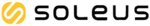 Soleus Running