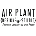 Air Plants