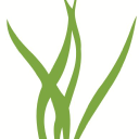 Air Plant Supply Co
