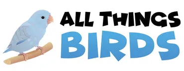 All Things Birds
