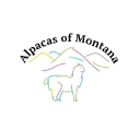 Alpacasofmontana