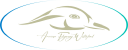 American Flyway Waterfowl
