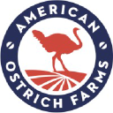 American Ostrich Farms