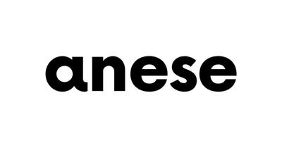 Aneseskin