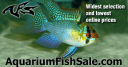 AquariumFishSale.com