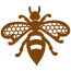 Ashevillebeecharmer