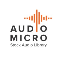 AudioMicro