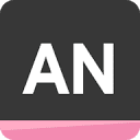 AutoNation USA