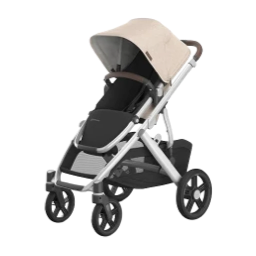 Baby & Toddler