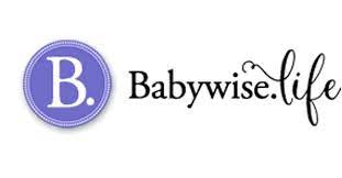 Babywise.life