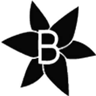 Baishenggt