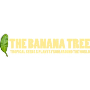 The Banana Tree