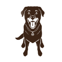 Bark Pouch