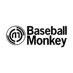 Baseball Monkey