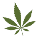 bcbudsupply