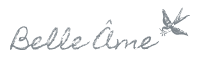 Belleameboutique