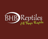 BHB Reptiles