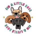 Bigandlittledogs