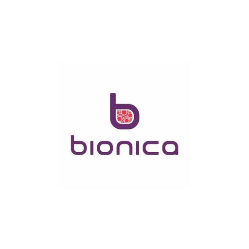 Bionica
