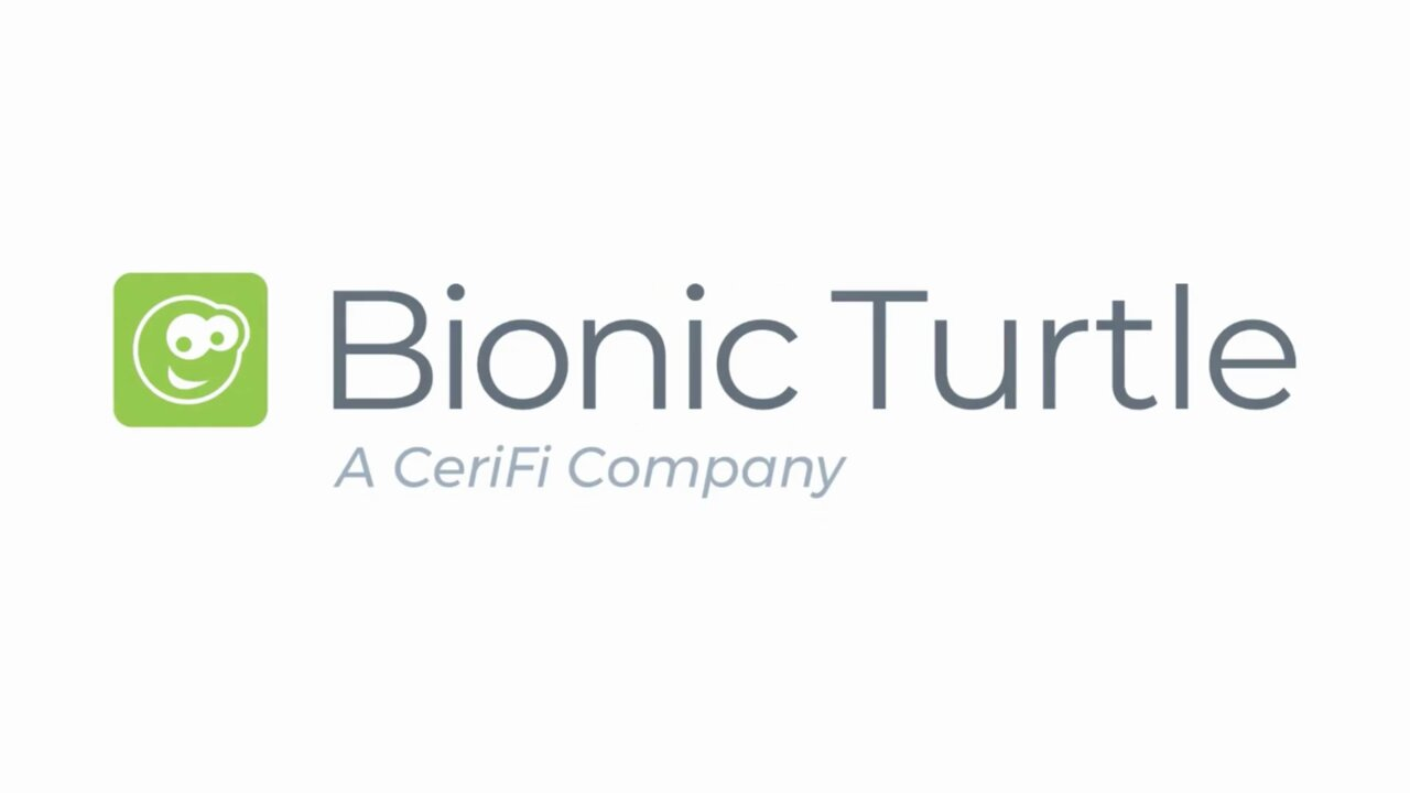 Bionic Turtle