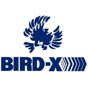 bird-x