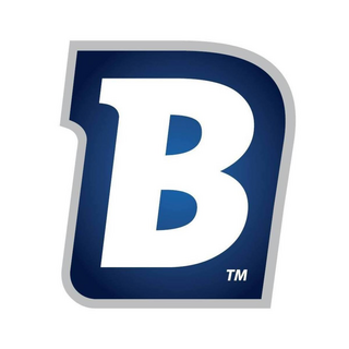 Blichmann Engineering