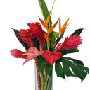 Bloomsofhawaii