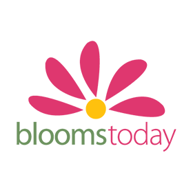 Blooms Today