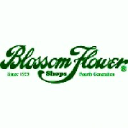 Blossom Flower
