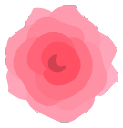 Blossom Flower Delivery