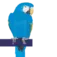 BlueParrott