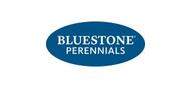 Bluestone Perennials