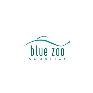 bluezooaquatics