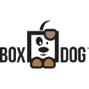 boxdog