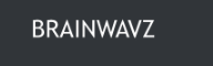 Brainwavz Audio