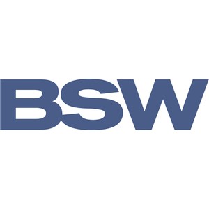 BSW Professional Audio