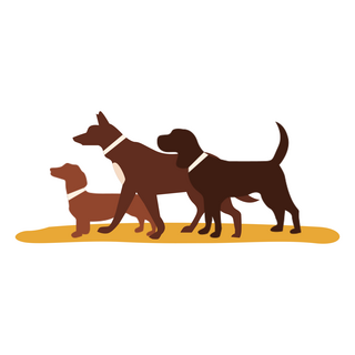 Bully Sticks Central