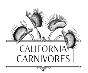 California Carnivores