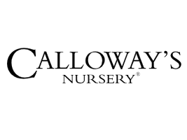 Calloways