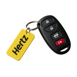 Car Rentals