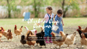 Chickencoopcompany
