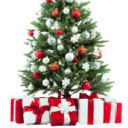 Christmasfarms