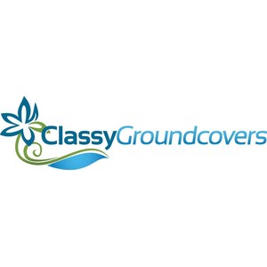 Classy Groundcovers