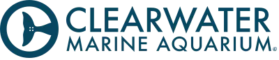 Clearwater Marine Aquarium