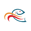 Covesurfandturf