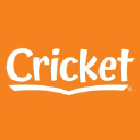 Cricket