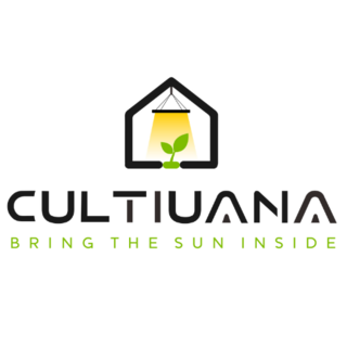 cultiuana